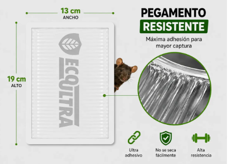 PACK Trampa Eco Ultra Mod. 72/ 100 PZ
