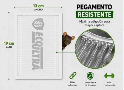 PACK Trampa Eco Ultra Mod. 72/ 100 PZ