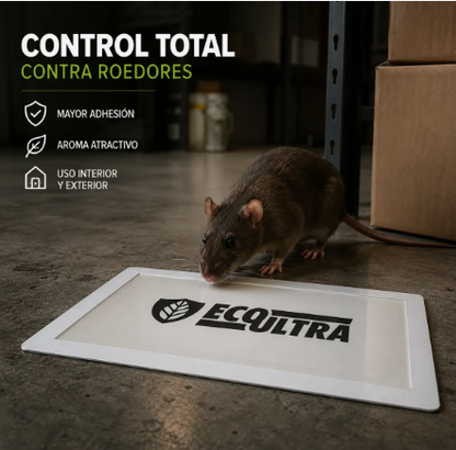 PACK Trampa Eco Ultra Mod. 72/ 100 PZ