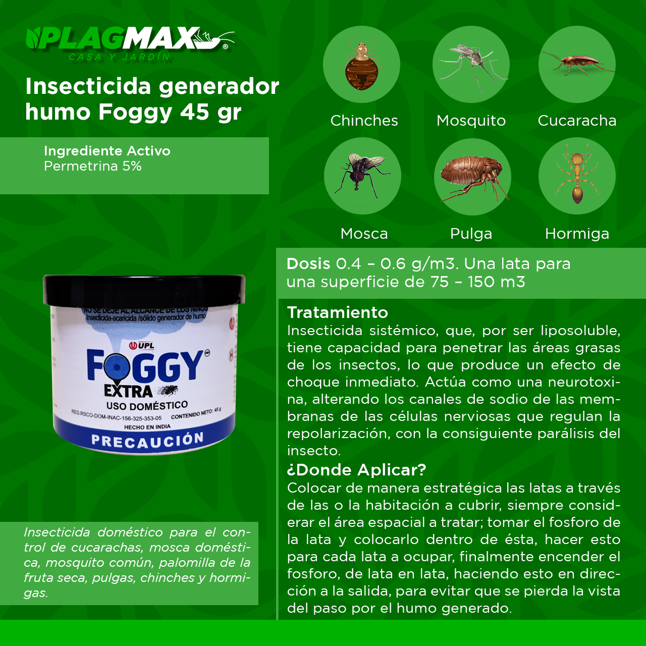 FOOGY 10 PZ