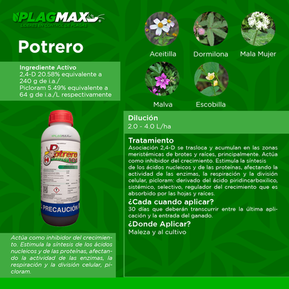 Potrero 101 Polietileno 1Lt (Picloram)