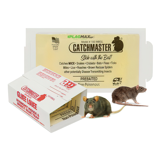 Trampa 150 Mb Goma Caja 150Pz