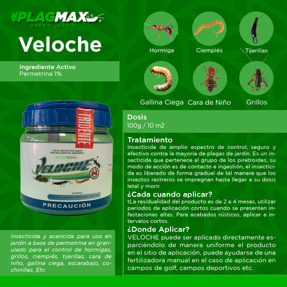 Veloche Tarro De 1 Kg