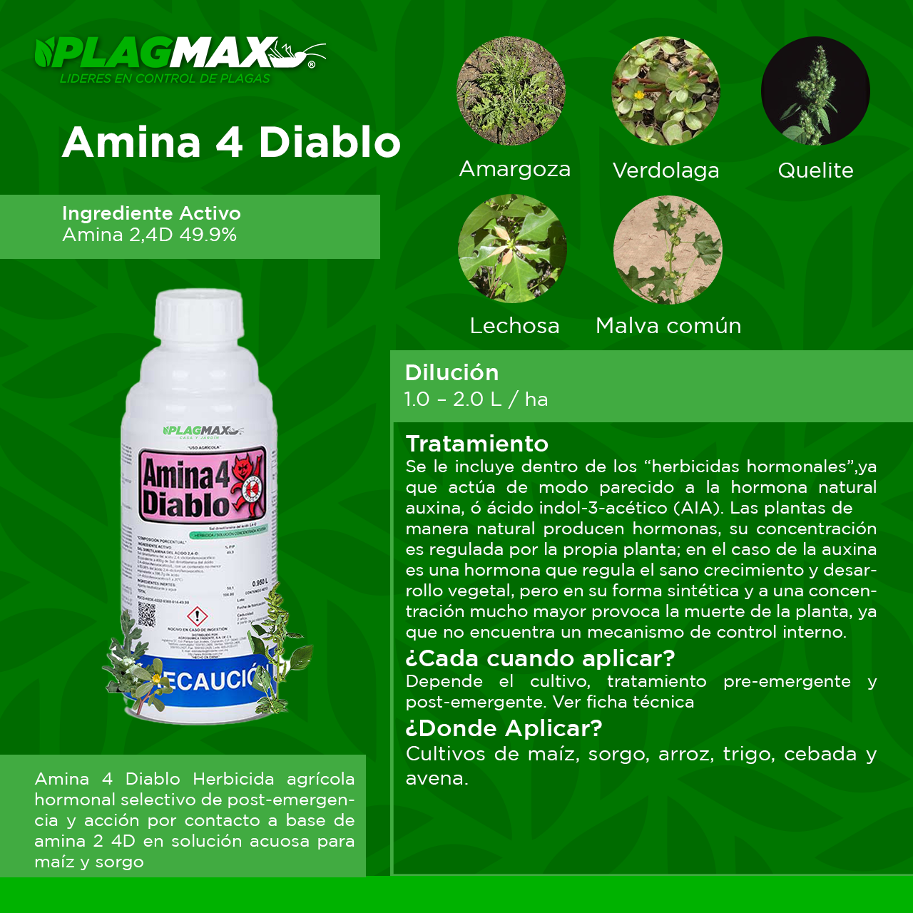Amina 4 Diablo Herbicida 1L